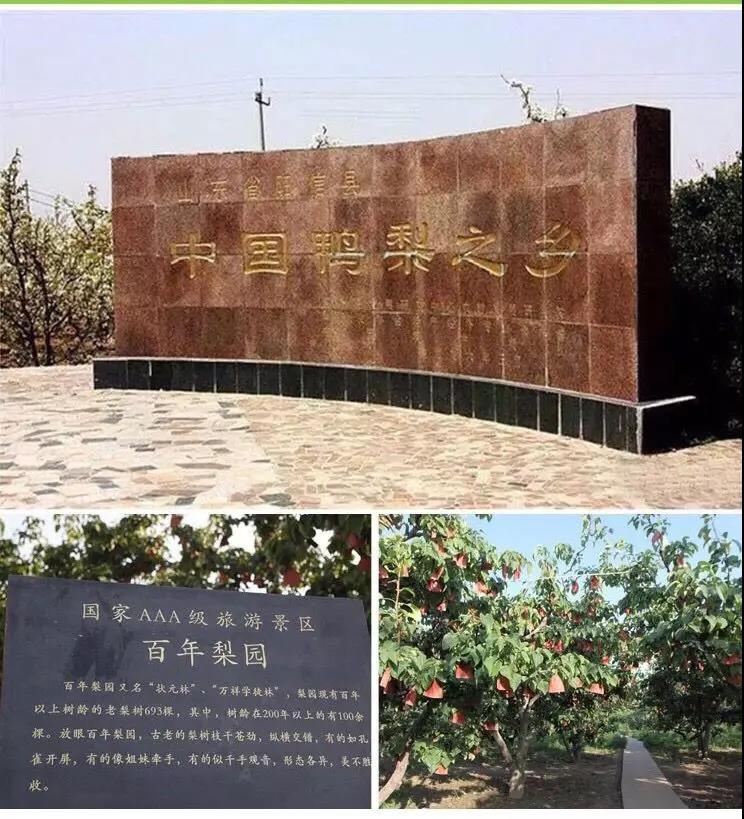 微信图片_20190924091109.jpg