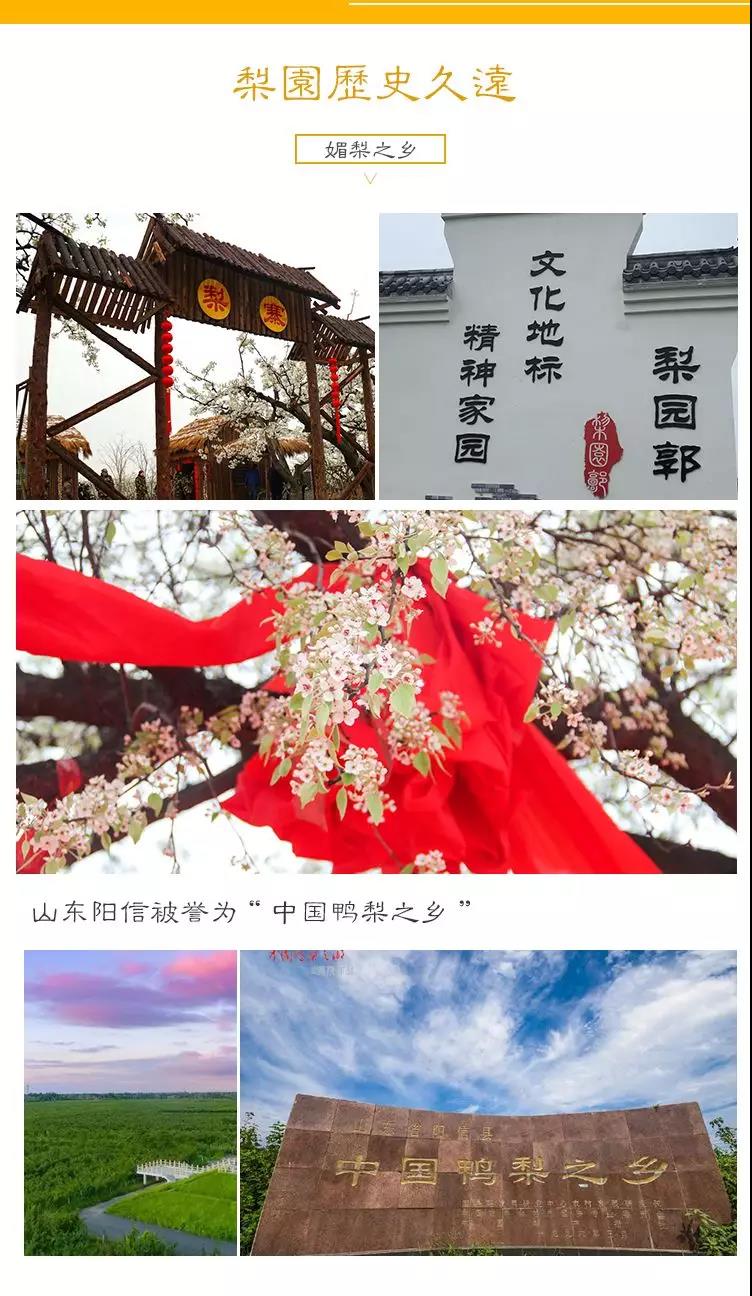 微信图片_20190924091125.jpg